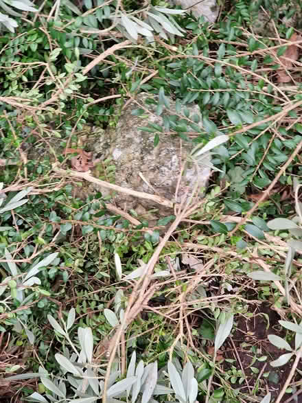 Photo of free Rockery stones (Morecambe LA4) #1