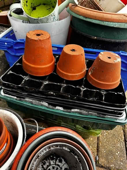 Photo of free Various flower pots (TN2 3HT) #2