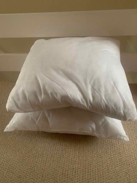 Photo of free New cushion inserts 50x50cm (Warley CM14) #1