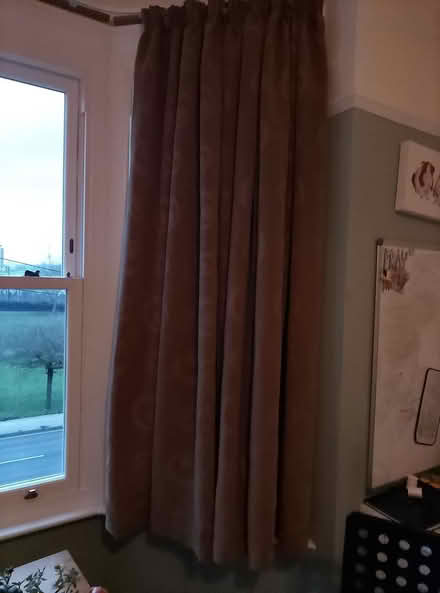 Photo of free Curtains (Ip2) #1