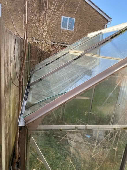 Photo of free Greenhouse (Worksop S81) #4