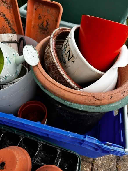 Photo of free Various flower pots (TN2 3HT) #4