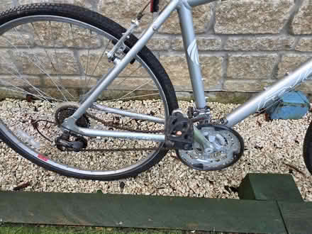 Photo of free Adult bike (Calne) #3