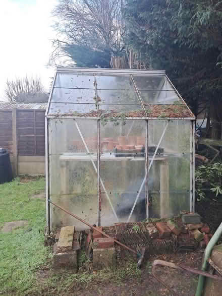 Photo of free Greenhouse (CT1) #2
