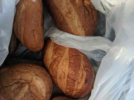 Photo of free lots of almost fresh bakery bread (Ann Arbor near Hillside Terr.) #3