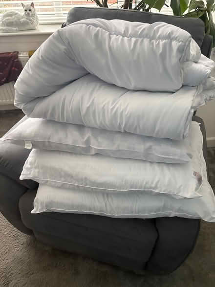 Photo of free Single quilt and 3 pillows (Crossgates LS15) #1