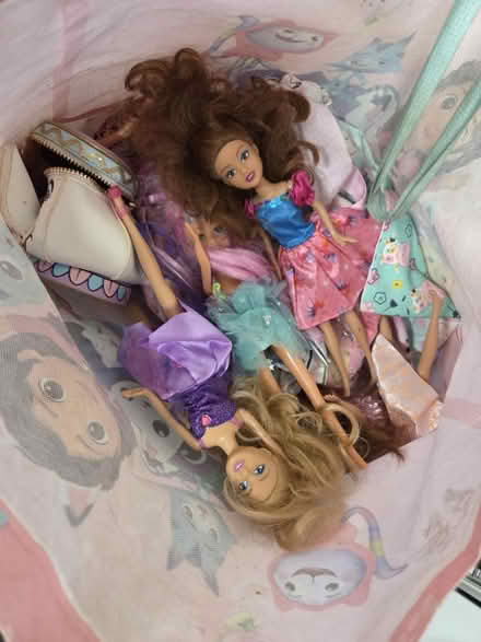 Photo of free Barbies and bags (Welwyn Garden City AL8) #1