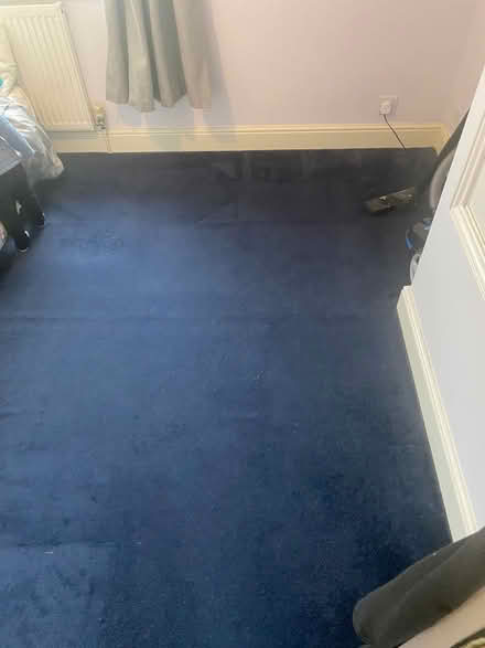Photo of free Dark blue carpet (Tiptree, Essex CO5) #1