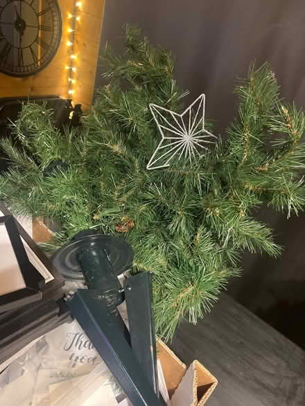 Photo of free Christmas Tree (Letchworth SG6) #1