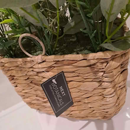 Photo of free NEXT artifical flower basket (Old Town TN40) #3