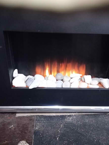 Photo of free Fully working elec fireplace (NG5 9NY) #2