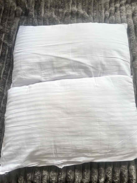 Photo of free Pillows (Rm17) #3