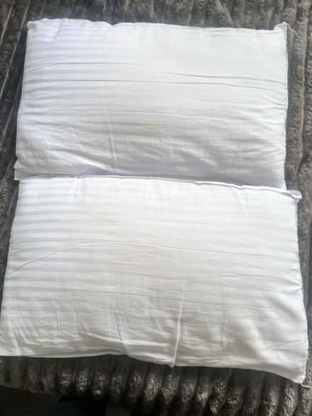 Photo of free Pillows (Rm17) #1