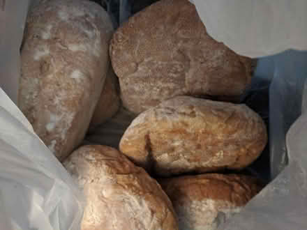 Photo of free lots of almost fresh bakery bread (Ann Arbor near Hillside Terr.) #2