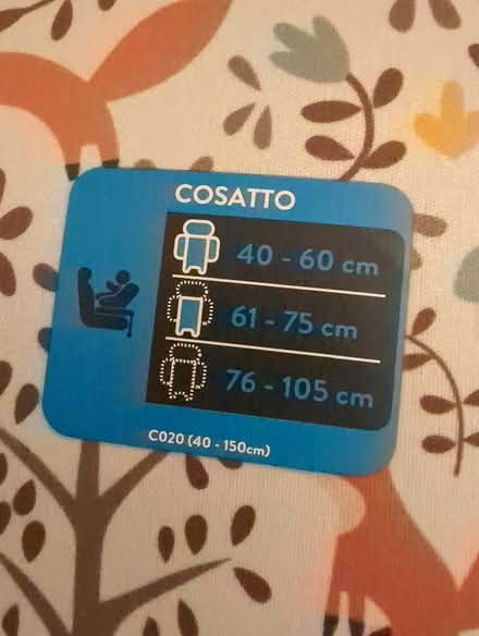 Photo of free Cosatto car seat inserts (Skipton BD23) #2