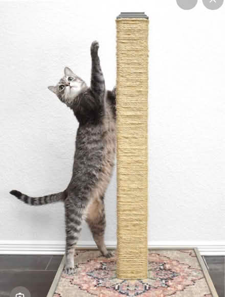 Photo of Cat Scratch Post (Derby DE24) #1