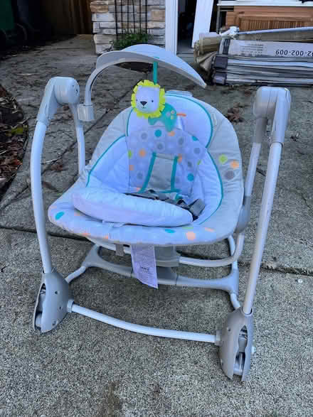 Photo of free infant's swing (Cotati) #1