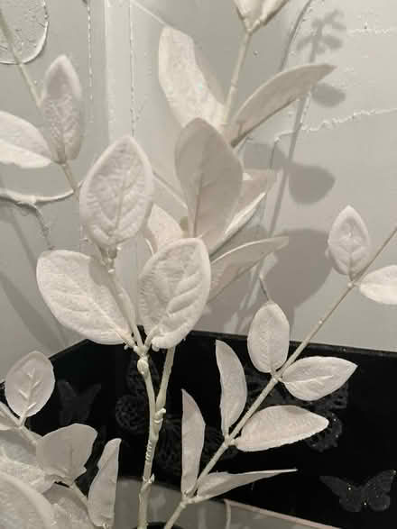 Photo of free Vase and Flowers (Ashton in Makerfield WN4) #4