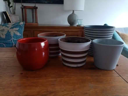 Photo of free 5 plant pots (Pimlico, SW1) #1