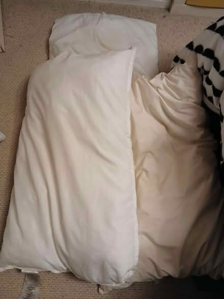 Photo of free 3 used pillows (Hollywood, B47) #1