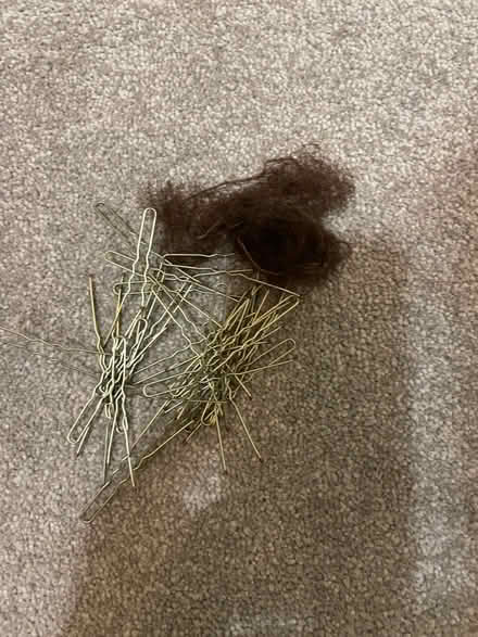 Photo of free hair bun net and pins (Kenilworth CV8) #1