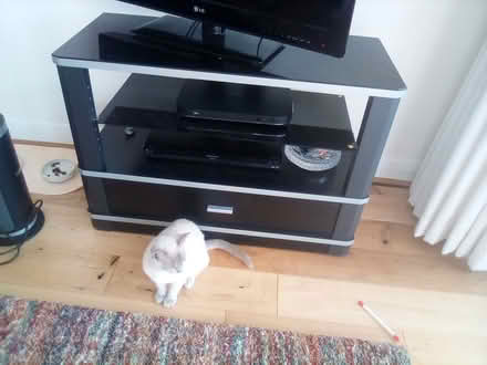 Photo of free Tv cabinet (Kingston upon Thames) #1