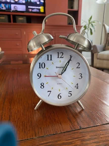 Photo of free For Those Who Like to Tinker (Ivy) #2