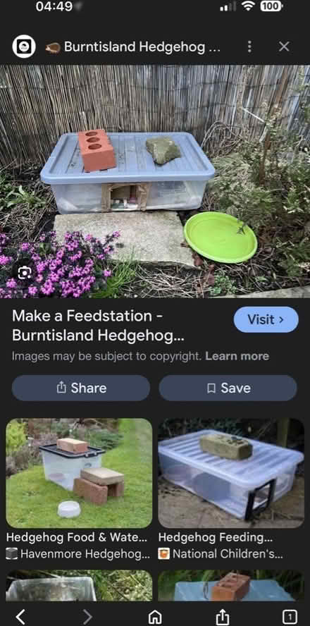 Photo of Plastic storage box with lid (Buxton NR10) #1