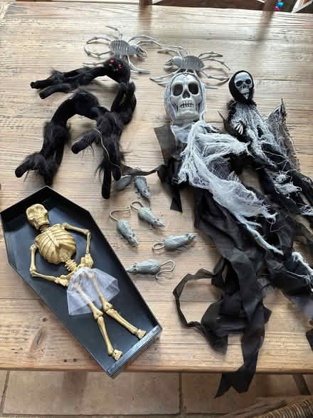 Photo of free Halloween decorations (Woodley RG6) #1