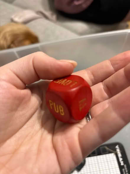 Photo of free Funny dice (North shields NE30) #1