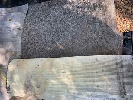 Photo of free Used carpet (Mims, Florida) #1