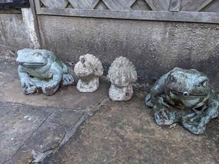Photo of free Frog, Dove, Dove, Frog (Bramhall SK7) #1