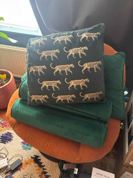 Photo of free 6 x Green Throw Cushions (SL6 Maidenhead) #2