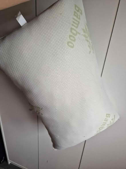 Photo of free Bamboo pillow (Endmoor LA8) #1