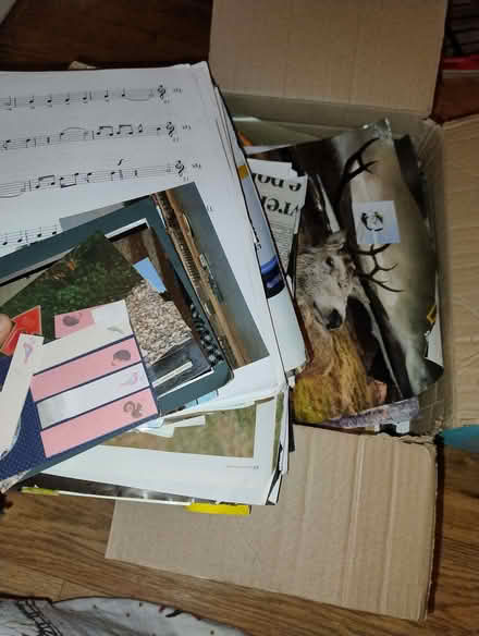 Photo of free Collage stuff (High Wood GL6) #4