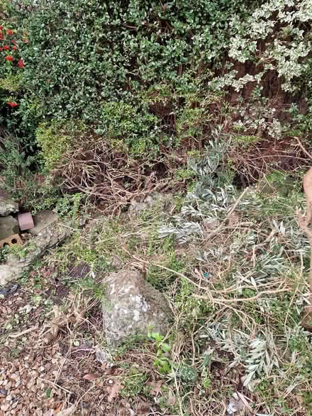 Photo of free Rockery stones (Morecambe LA4) #2