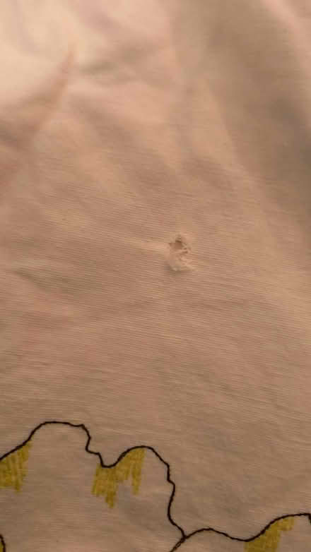 Photo of free Cotton bag (Allington ME16) #4