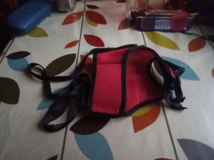 Photo of free Cat/ Small Dog Harness with Lead (St Andrew's Wharf DE1) #2