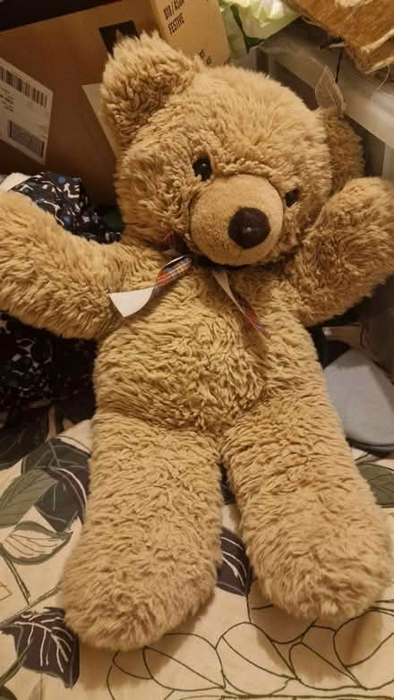 Photo of free Large teddy bear (Kirk Hallam DE7) #2