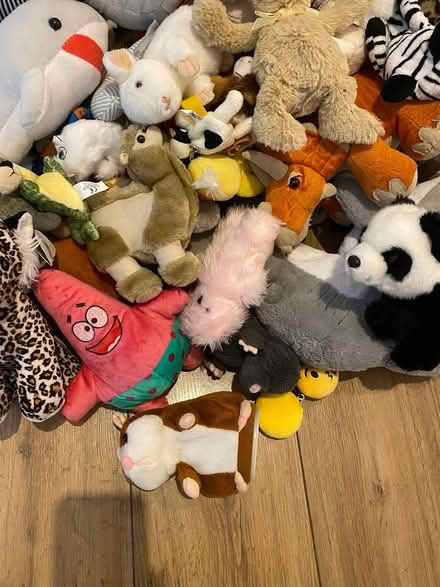 Photo of free Teddy Bundle x53 (Horndon SS17) #4