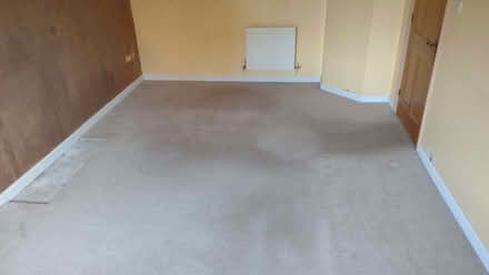 Photo of free Lounge carpet (Chippenham SN14) #2