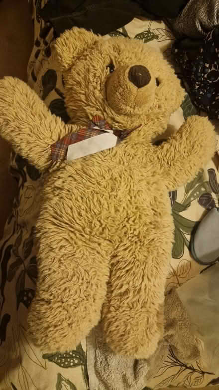 Photo of free Large teddy bear (Kirk Hallam DE7) #1