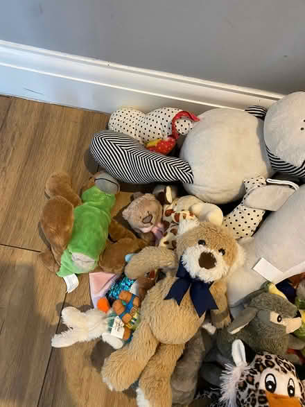 Photo of free Teddy Bundle x53 (Horndon SS17) #2
