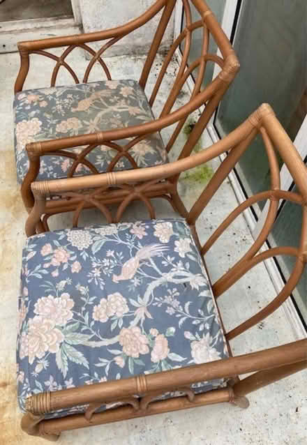 Photo of free Two bentwood armchairs (Great Wakering Essex SS3) #2