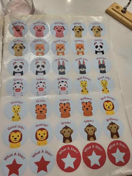 Photo of free Children's stickers for potty training and effort (World's End RH15) #2
