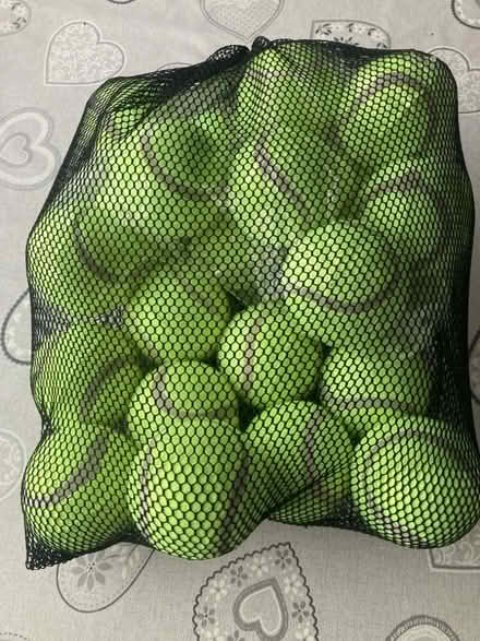 Photo of free Dog/tennis balls (Harworth DN11) #1