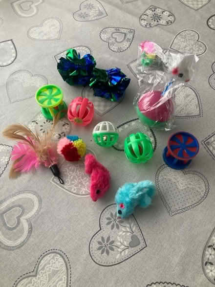 Photo of free Cat/kitten toys. (Harworth DN11) #1