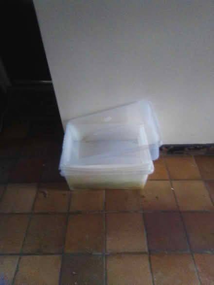 Photo of free 5 under bed storage boxes (Anerley SE20) #1