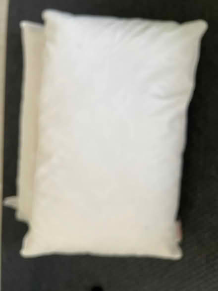Photo of free Pillows (Locks Heath SO31) #1