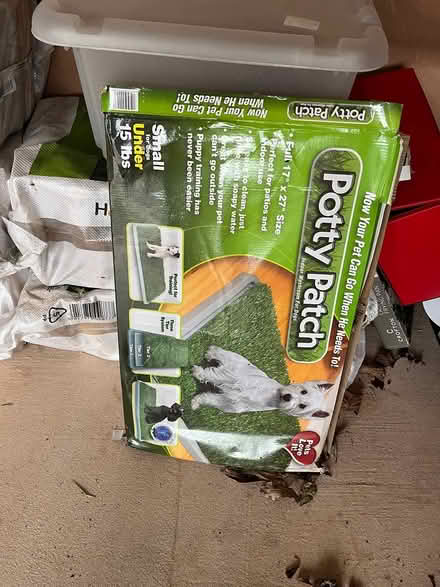 Photo of free Puppy training mat (Musbury EX13) #1